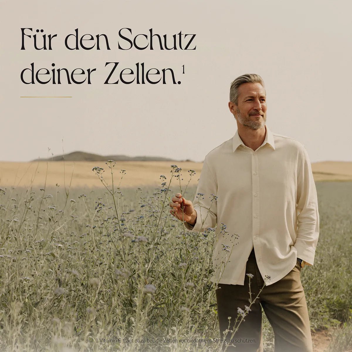 Grauhaariger Mann mit Bart in cremefarbenem Leinenhemd und brauner Hose steht in einem Feld mit violett blühenden Wildblumen vor sanften Hügeln.