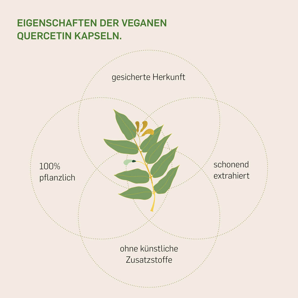 QUERCETIN - Kurkraft - QUERCETIN